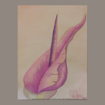 Oregon "Passionflower" Memory posters by dlmtleArt Oregon "Passionflower" Memory posters
