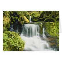 Oregon, Waterfall in Willamette national Card