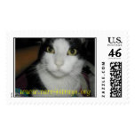 Oreo Postage