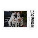 oreo, spikey,neo,venom,smegal postage by raven111776 oreo, spikey,neo,venom,smegal postage