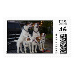 oreo, spikey,neo,venom,smegal postage