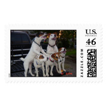 oreo, spikey,neo,venom,smegal postage by raven111776 oreo, spikey,neo,venom,smegal postage