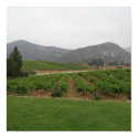 Orfila Winery Vineyard posters by mdhaithcock Orfila Winery Vineyard posters