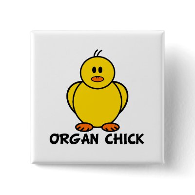 Organ Chick Button by chicktshirts8