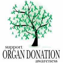 Organ Donation Tree Cut Outs