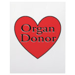 organ donor heart letterhead