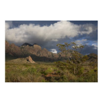 Organ Mountains After Storm posters
