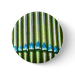 Organ Pipes (3) Buttons