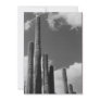 Organ Pipes (AZ Sonoran Desert) Invite