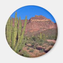 Organ Pipes In Death Valley Magnets