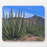 Organ Pipes In Desert Mousepads