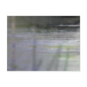 Organic abstract #1451 postcards