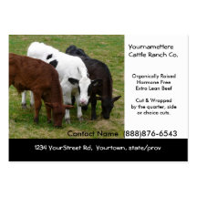 Organic Cattle Beef Ranch or Butcher Business Card
