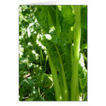 Organic Chard in Summer Card