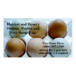 chicken eggs, egg photo, layer, laying hen,