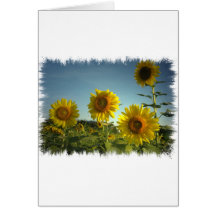 Organic Garden Sunflower Greeting Card