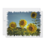 Organic Gardening Invitation