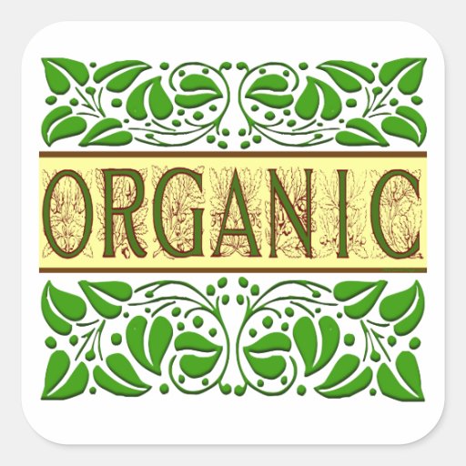 Organic Green Slogan Sticker Zazzle