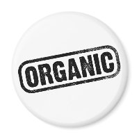 Organic magnet