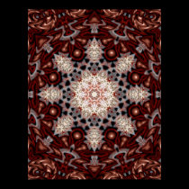 Organic Mushroom Snowflake Poster posters