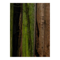 Organic posters