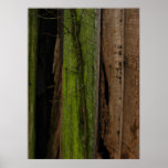 Organic Poster