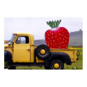 Organic Strawberry posters by Adamophoto Organic Strawberry posters