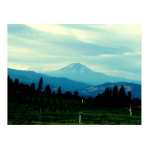 Organic Valley posters
