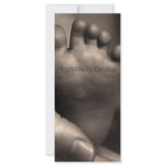 Organically Grown rack cards