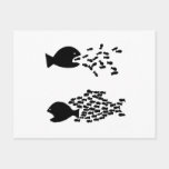 organize fish postcard organize fish postcard
