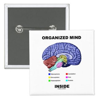 Organized Mind Inside (Anatomical Brain Attitude) Pinback Buttons