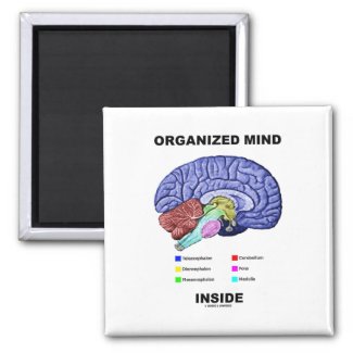 Organized Mind Inside (Anatomical Brain Attitude) Magnets