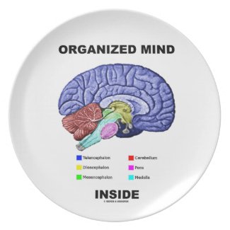 Organized Mind Inside (Anatomical Brain Attitude) Party Plates