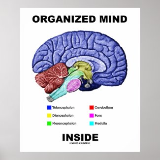 Organized Mind Inside (Anatomical Brain Attitude) Poster