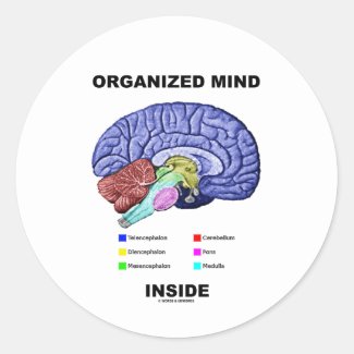 Organized Mind Inside (Anatomical Brain Attitude) Sticker
