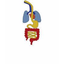 Organs t-shirts