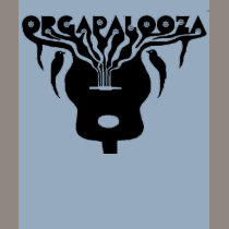 .Orgapalooza - T-shirt