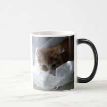 Orien 016 mug