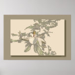 Oriental Beauty Print