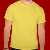 Oriental dragon t-shirts