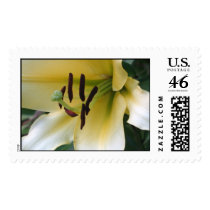 Oriental Lily postage by ggbythebay Oriental Lily postage