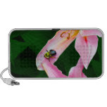 Oriental Lily with Bee speakers