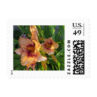 Oriental Peach Day Lily Flowers Stamp