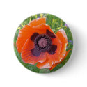 Oriental poppy button by actringo Oriental poppy button