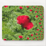 Oriental Poppy Fractal Mousepad