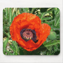 Oriental Poppy mousepads by moonrisings Oriental Poppy mousepads