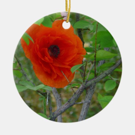 oriental poppy ornament zazzle oriental poppy ornament zazzle