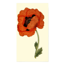 Oriental  Poppy posters