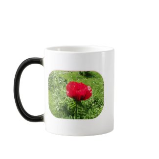 Oriental Red Poppy Morphing Mug mug