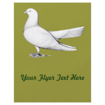 Oriental Roller:  Flying Type Flyers